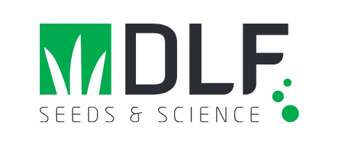 DLF Logo Arvum Group