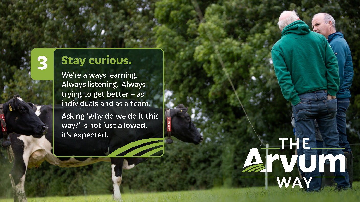 Arvum ScreenSavers_Page3