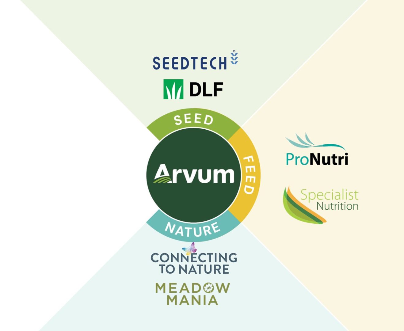 Arvum division split visual