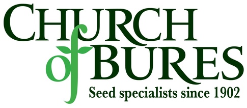 church_of_bures_485x212